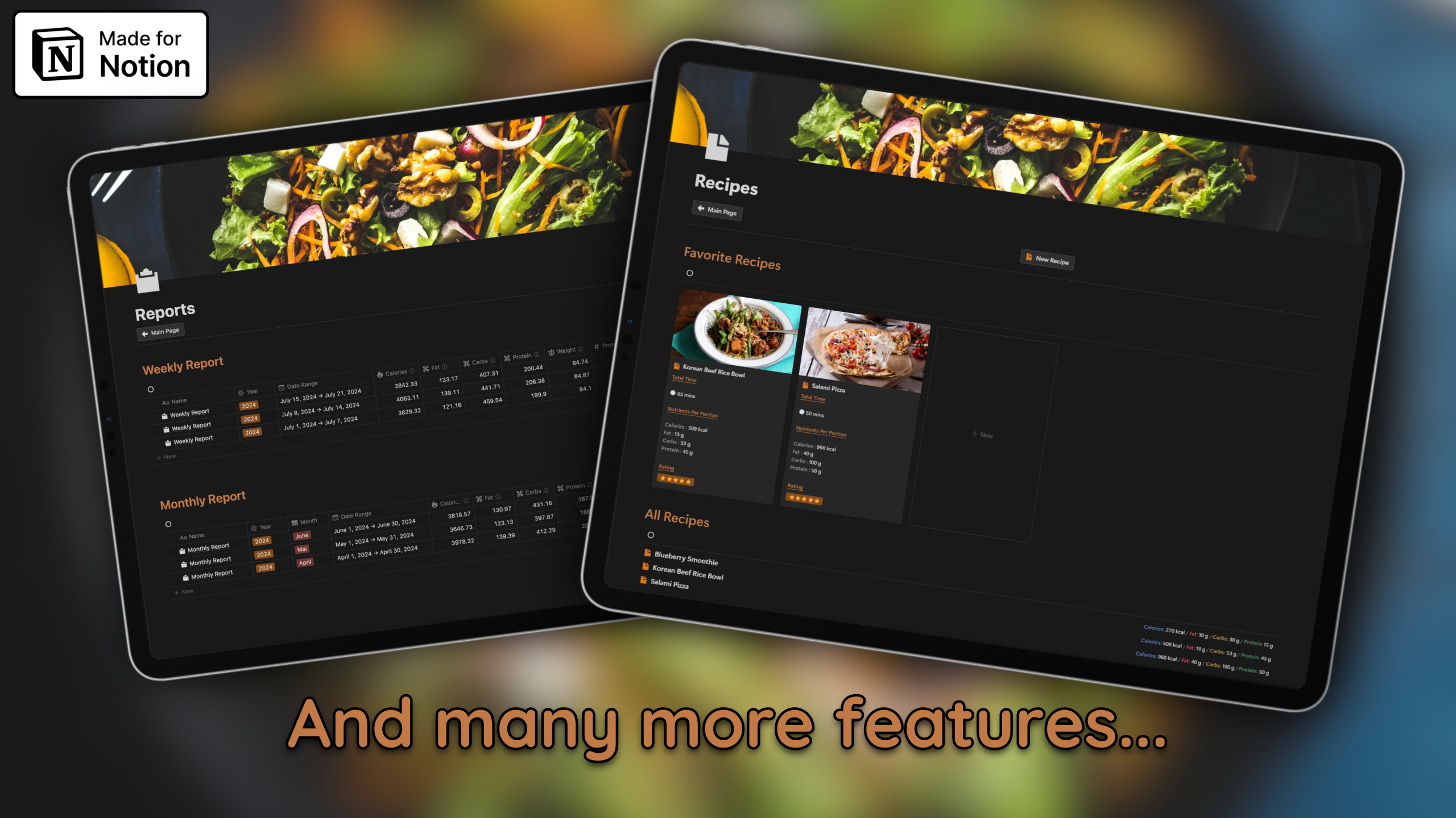 Notion Macronutrients Calculator media 6