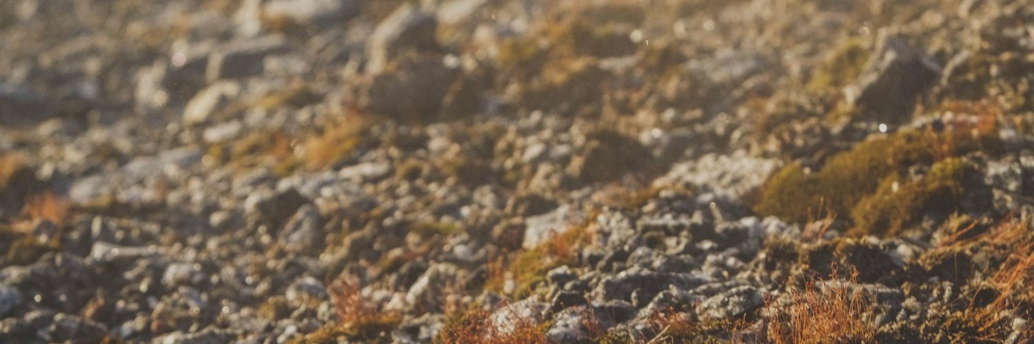 ProductHunt banner for @any