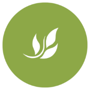 Mindful Family