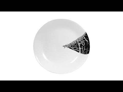 "First Bean to Space" porcelain plate set gallery image