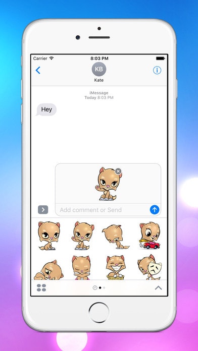 Bella the cat gallery image