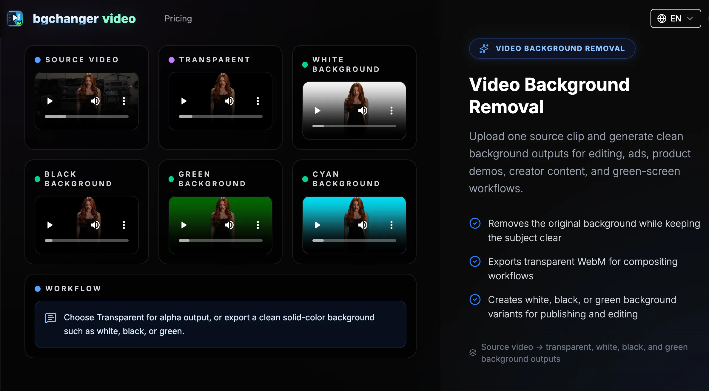 Video Background Changer gallery image