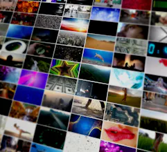 Videvo gallery image