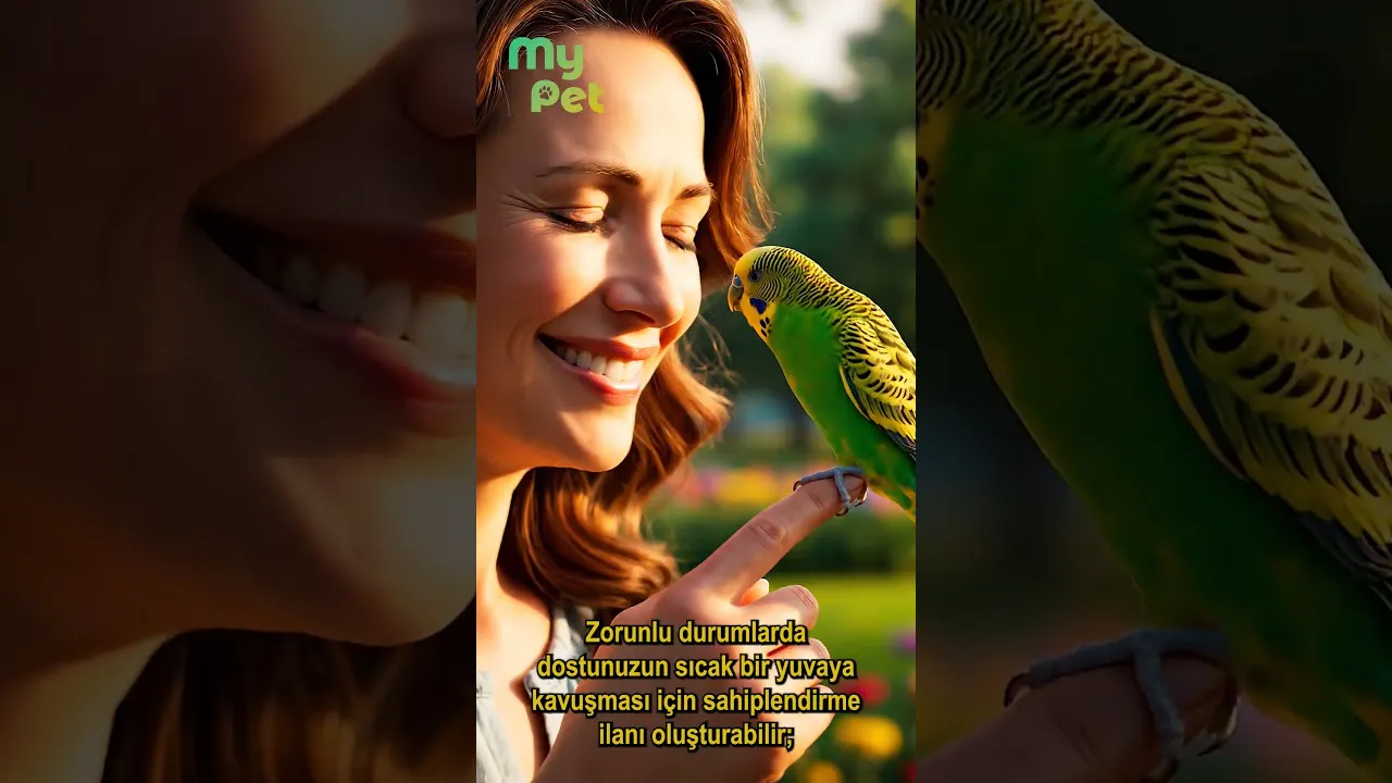 mypet.my gallery image