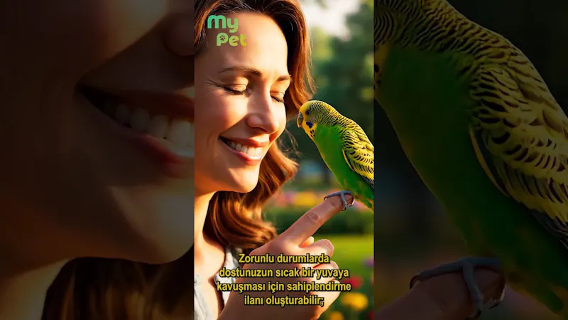 mypet.my screenshot 1 (video preview)
