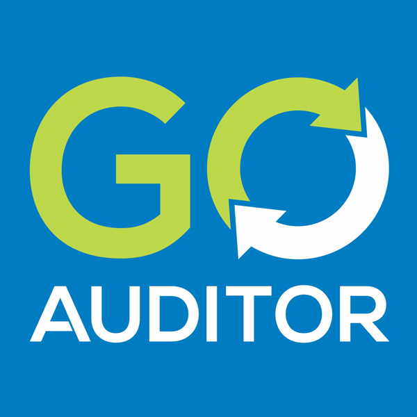 Go Auditor