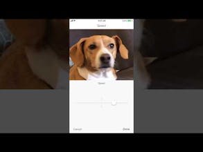 Momento 4.0 gallery image