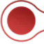 VisioSculpt Labs