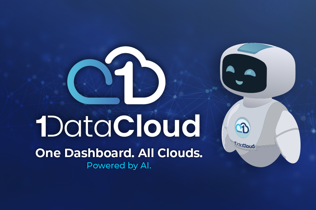 1DataCloud.Ai gallery image