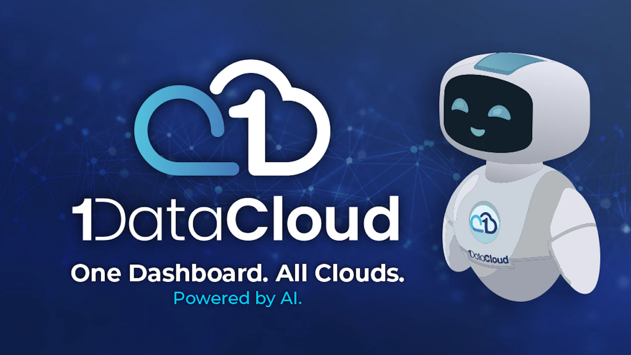 1DataCloud.Ai product