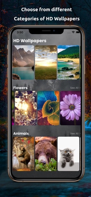 Wallpapers - Full HD - 4K gallery image