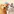 PawDose: Pet Med Tracker