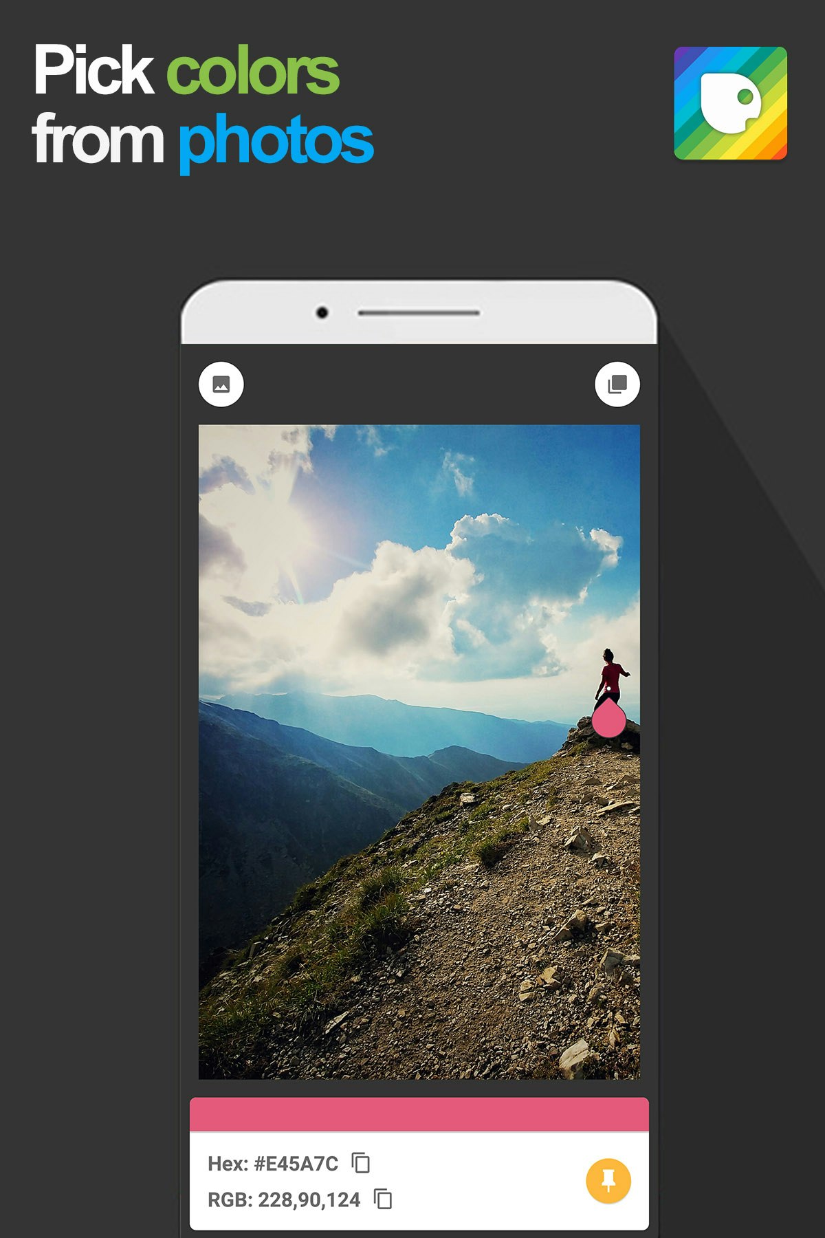 Kameleon gallery image