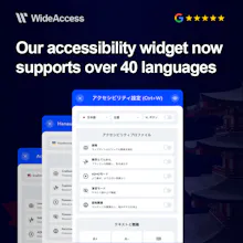 WideAccess Accessibility Widget gallery image