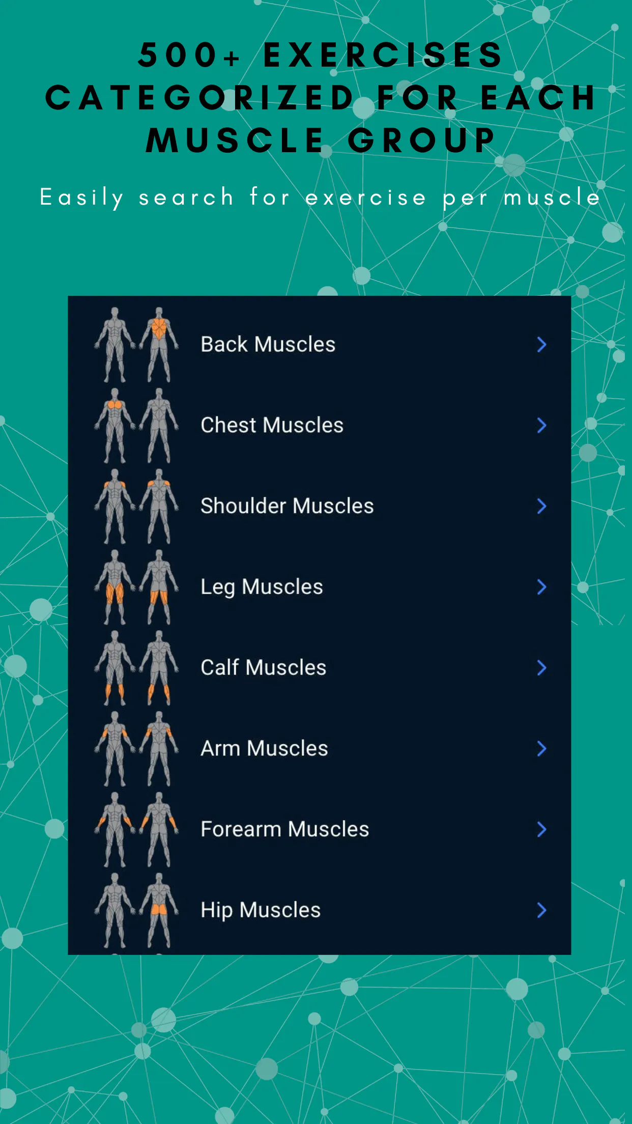 FitnessRec gallery image