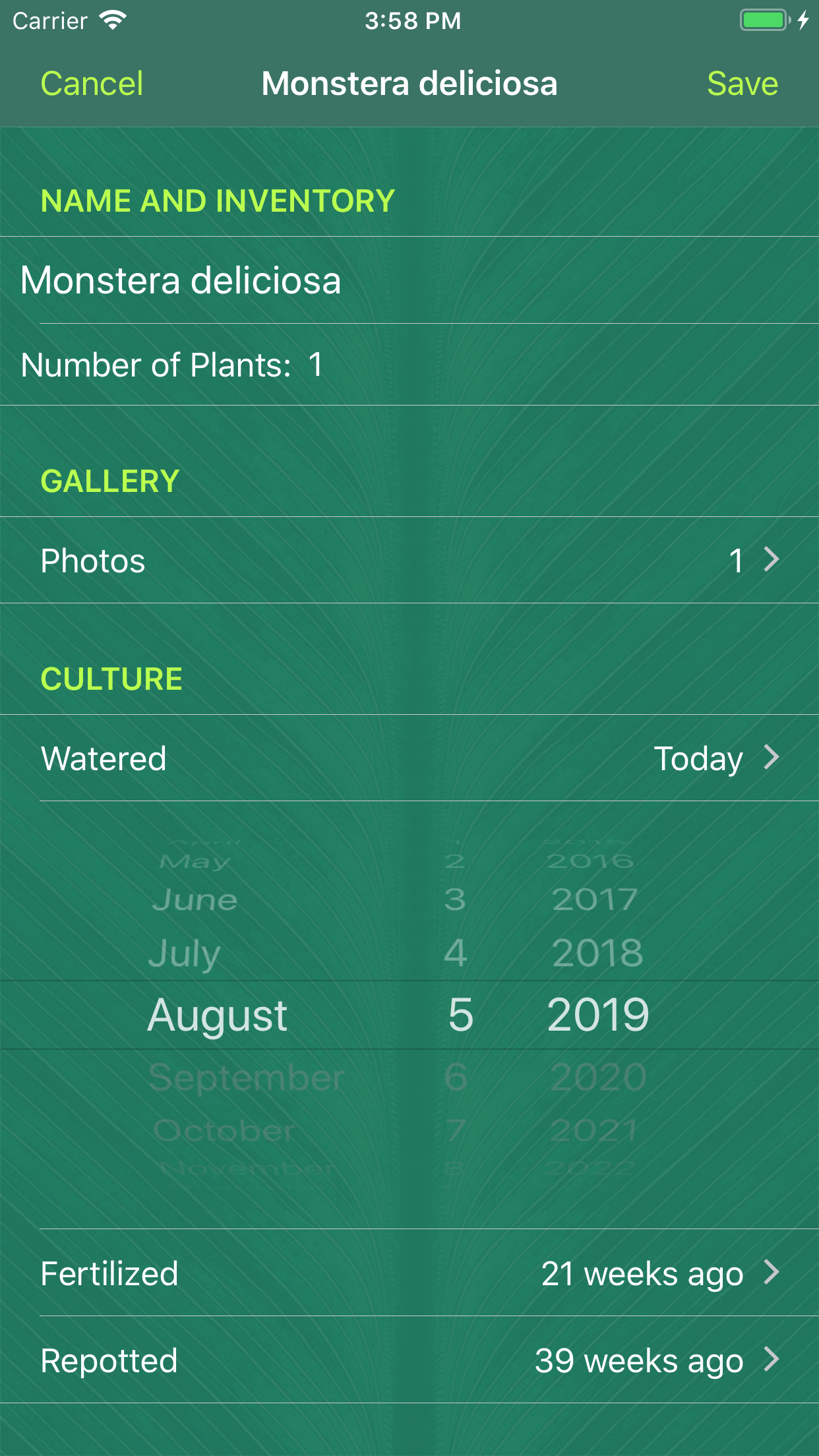 Sprouted gallery image