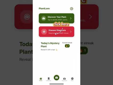 PlantLore gallery image