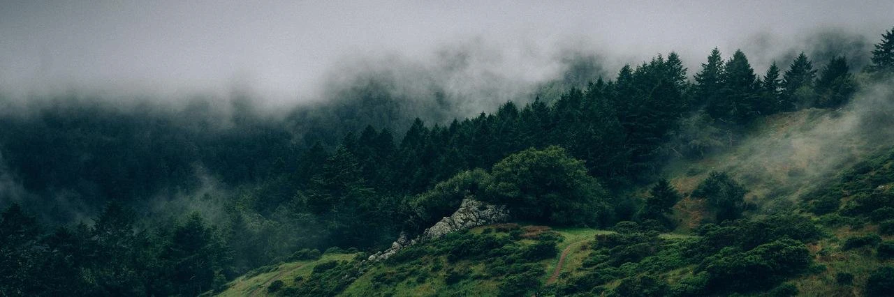 Pieter Korevaar cover