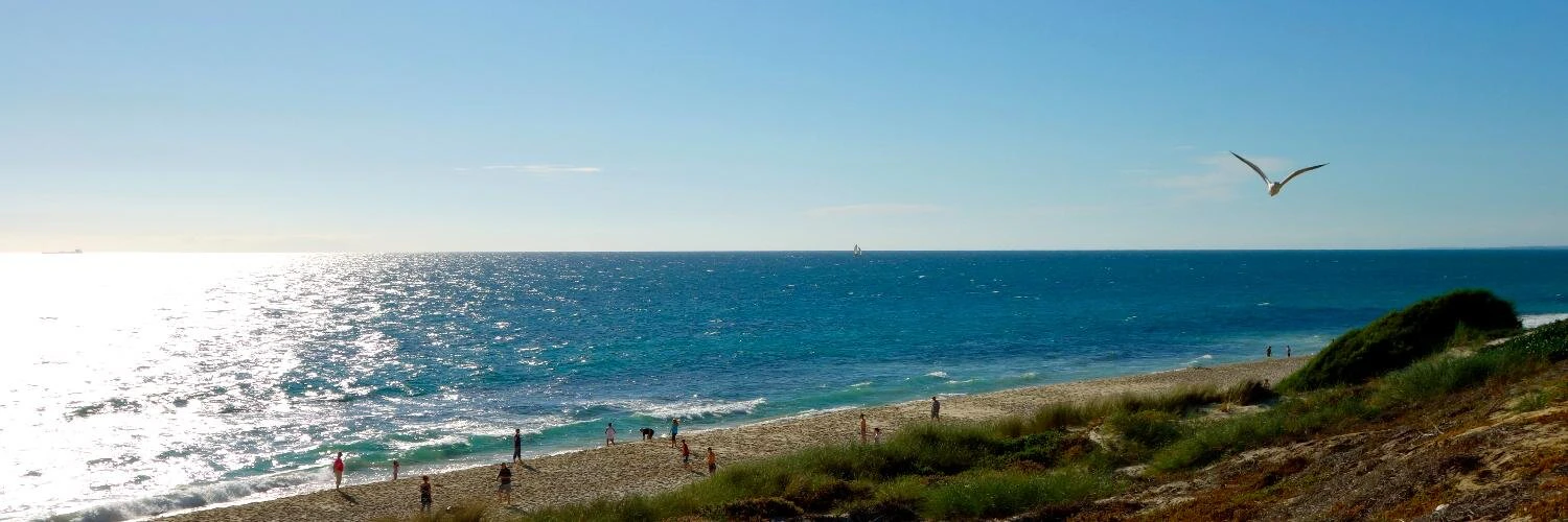 Swami Venkataramani cover