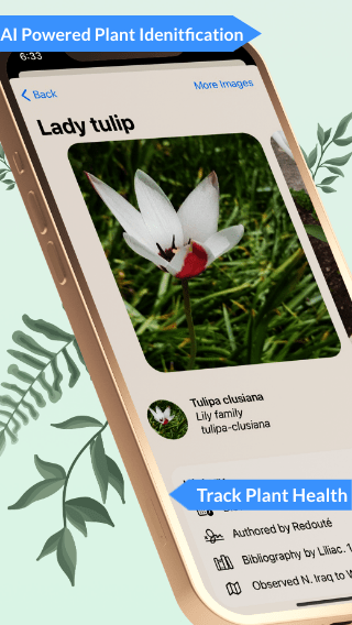Plantility Plant Scanner gallery image