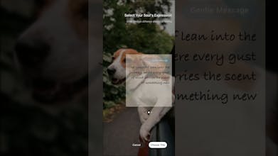 SoulSnap gallery image