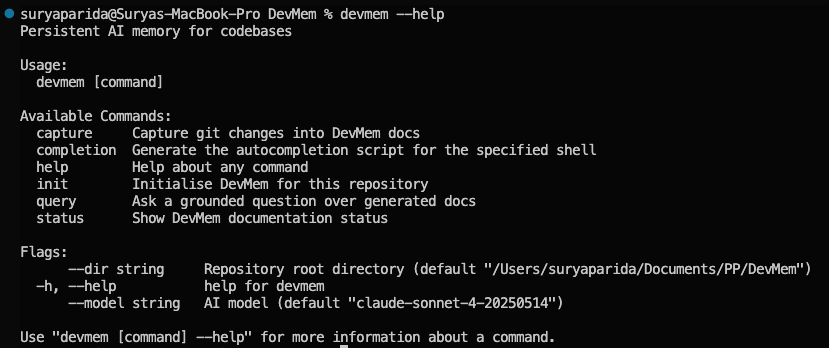 DevMem gallery image