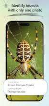 Insect Identifier: Bug Finder gallery image