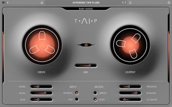 TAIP gallery image