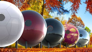 Conker Living Pods gallery image