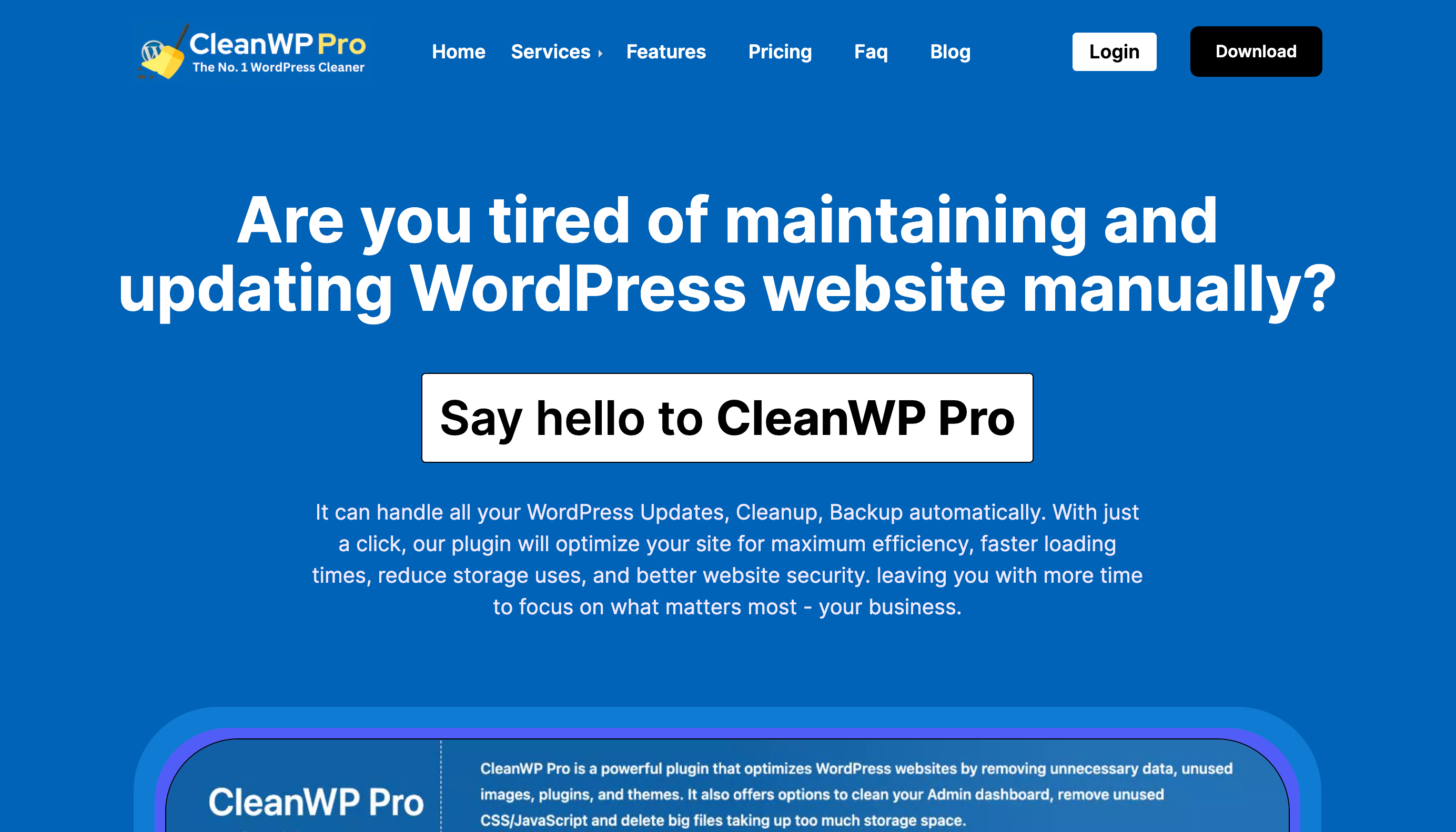 CleanWP Pro - El mejor complemento y servicios de limpiador de WordPress media 2