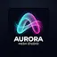 Aurora Mesh Studio