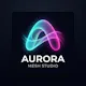 Aurora Mesh Studio