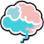 Brain Cloud Flashcards