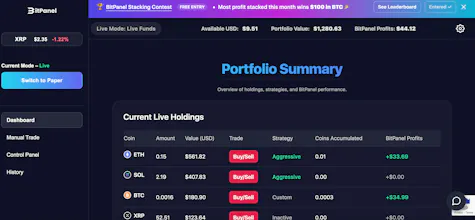 BitPanel — Crypto Trading Platform gallery image