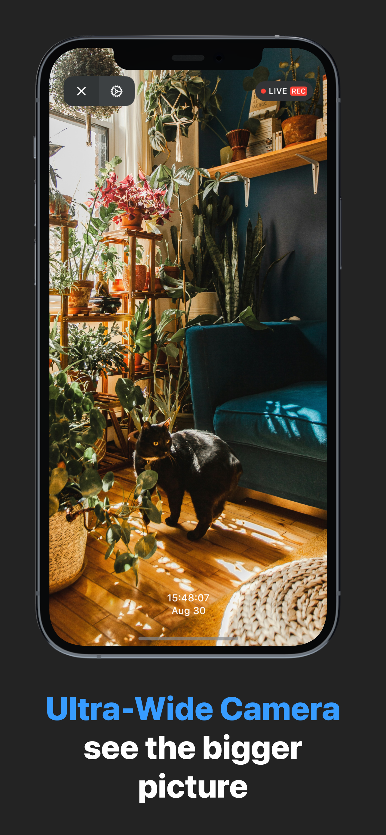 Phonitor - Verwandeln Sie das alte iPhone oder iPad in eine Überwachungskamera Medien 7