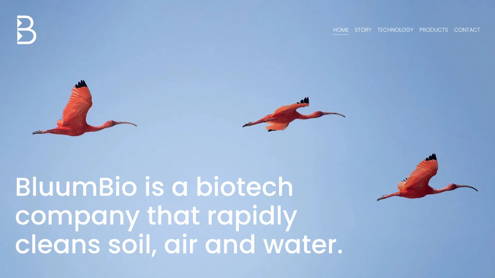 BluumBio screenshot 1