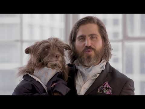 Beautiful Bond Salon by Petco gallery image