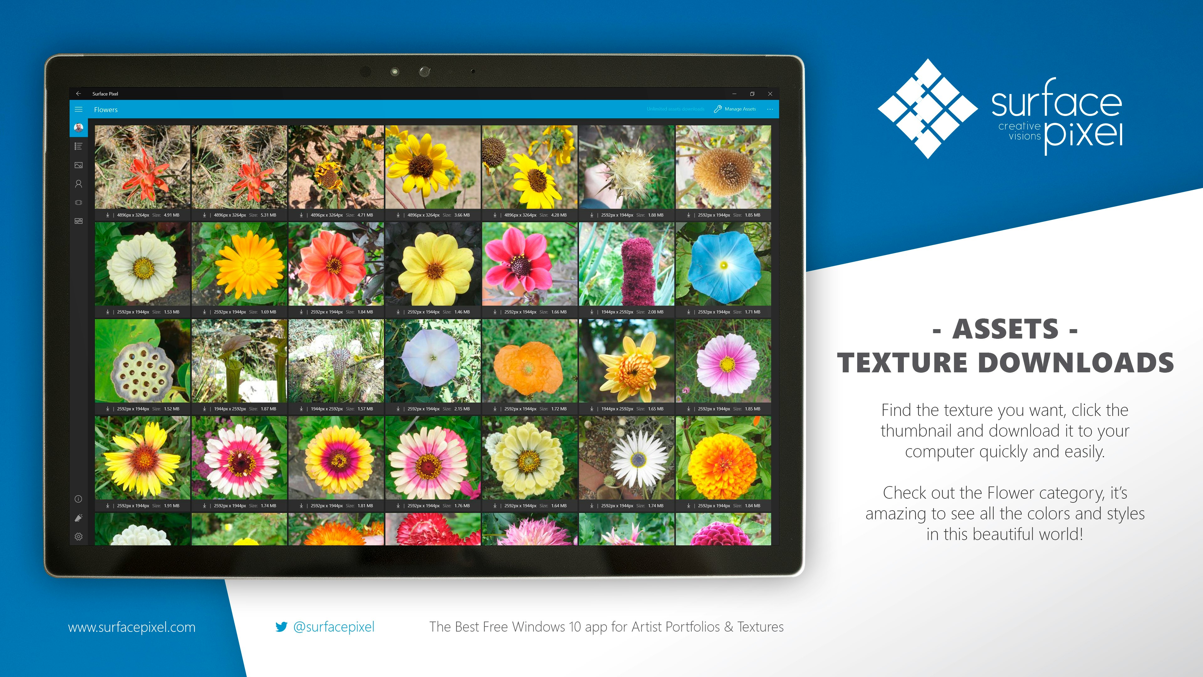 Surface Pixel gallery image