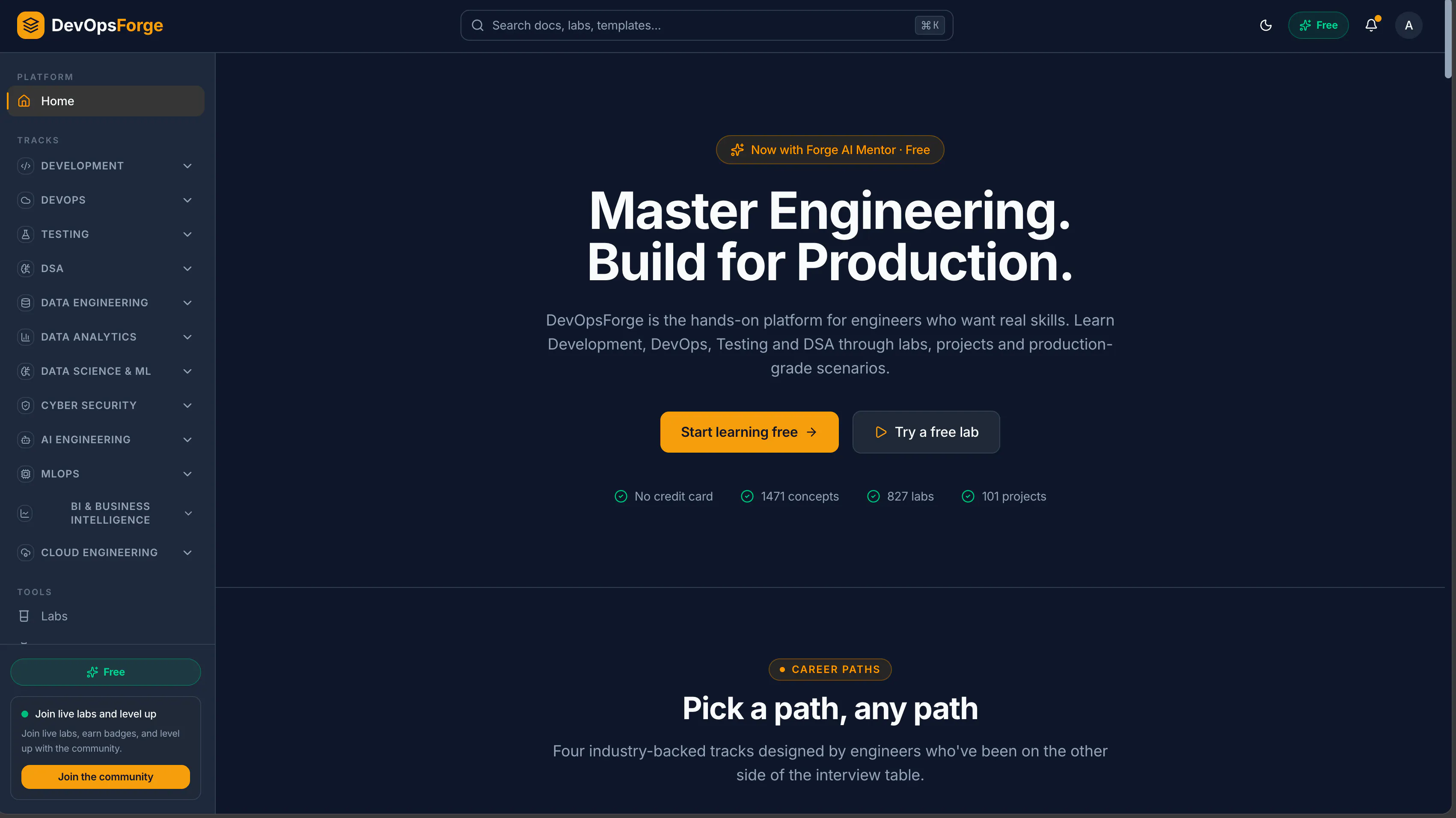 DevOpsForge gallery image
