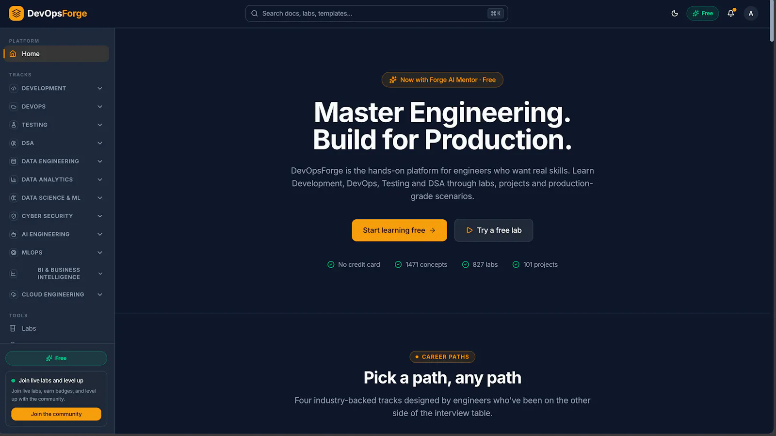 DevOpsForge screenshot 1