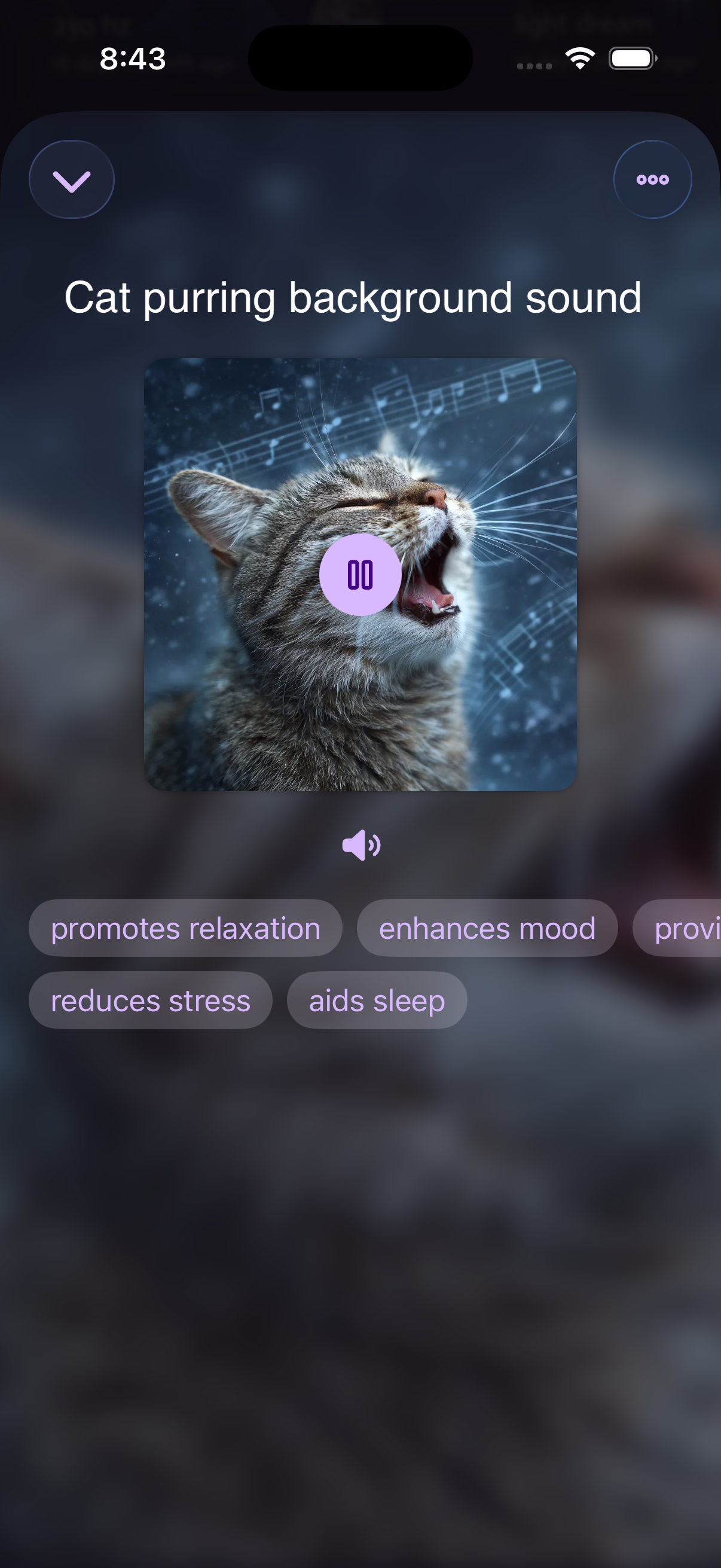 Deep Decibels gallery image