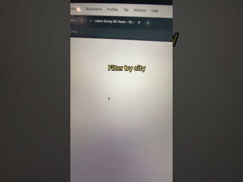 NewsBear gallery image