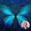 Orion's Light & Pleiadian Reiki-Level 2.