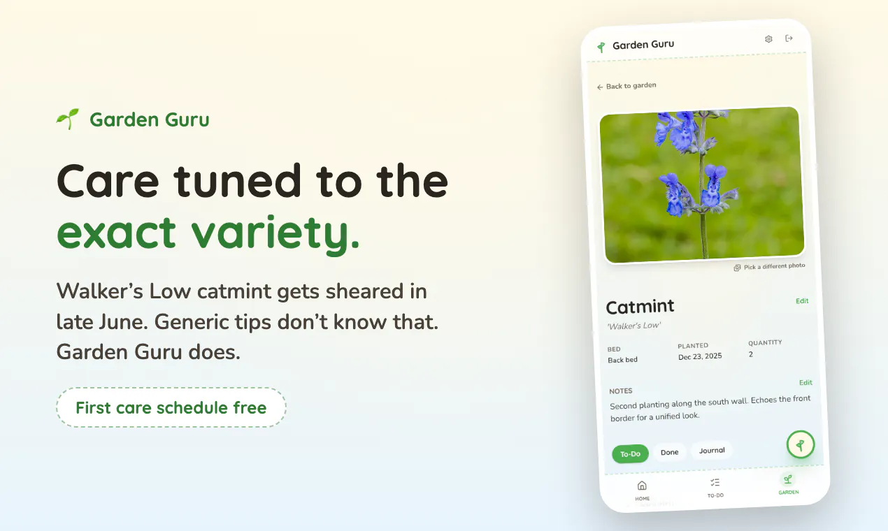 Garden Guru gallery image