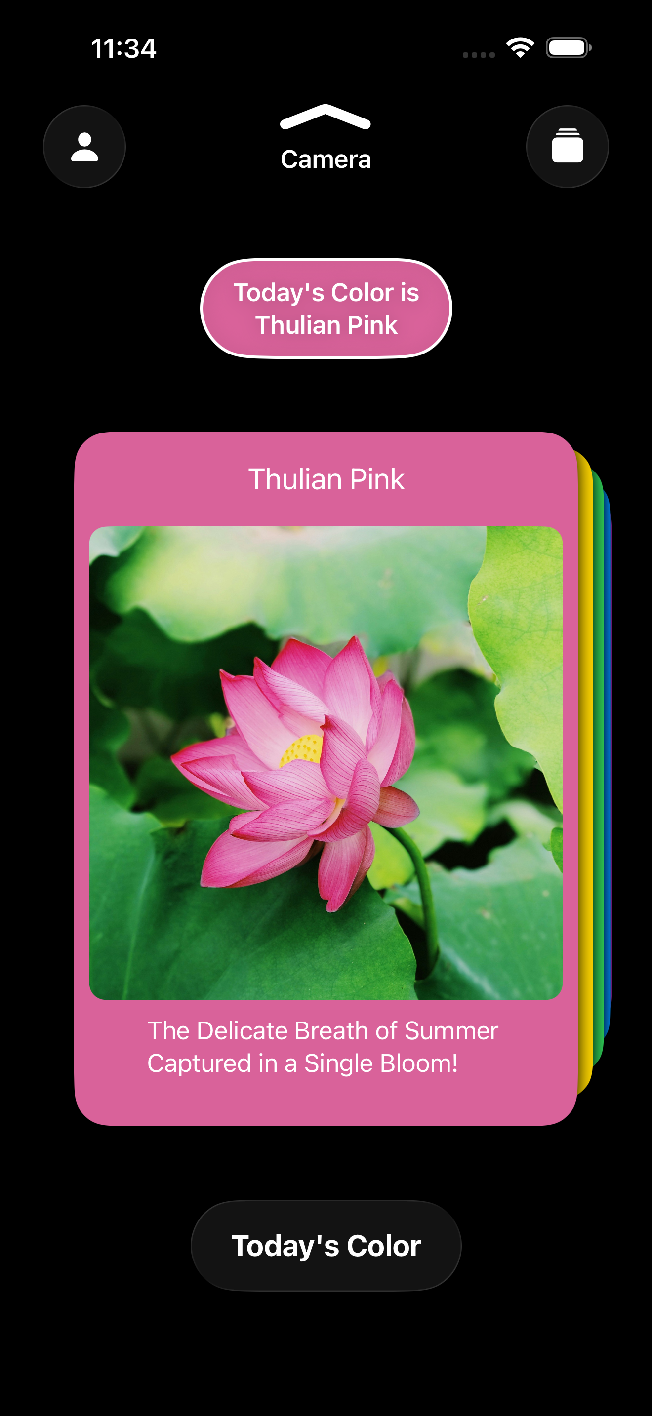 Paletty gallery image