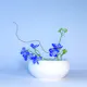Ikebana Reflections