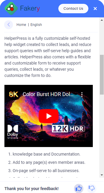 Helperpress - Многофункциональный многофункциональный виджет WordPress Help & Support WordPress медиа 14
