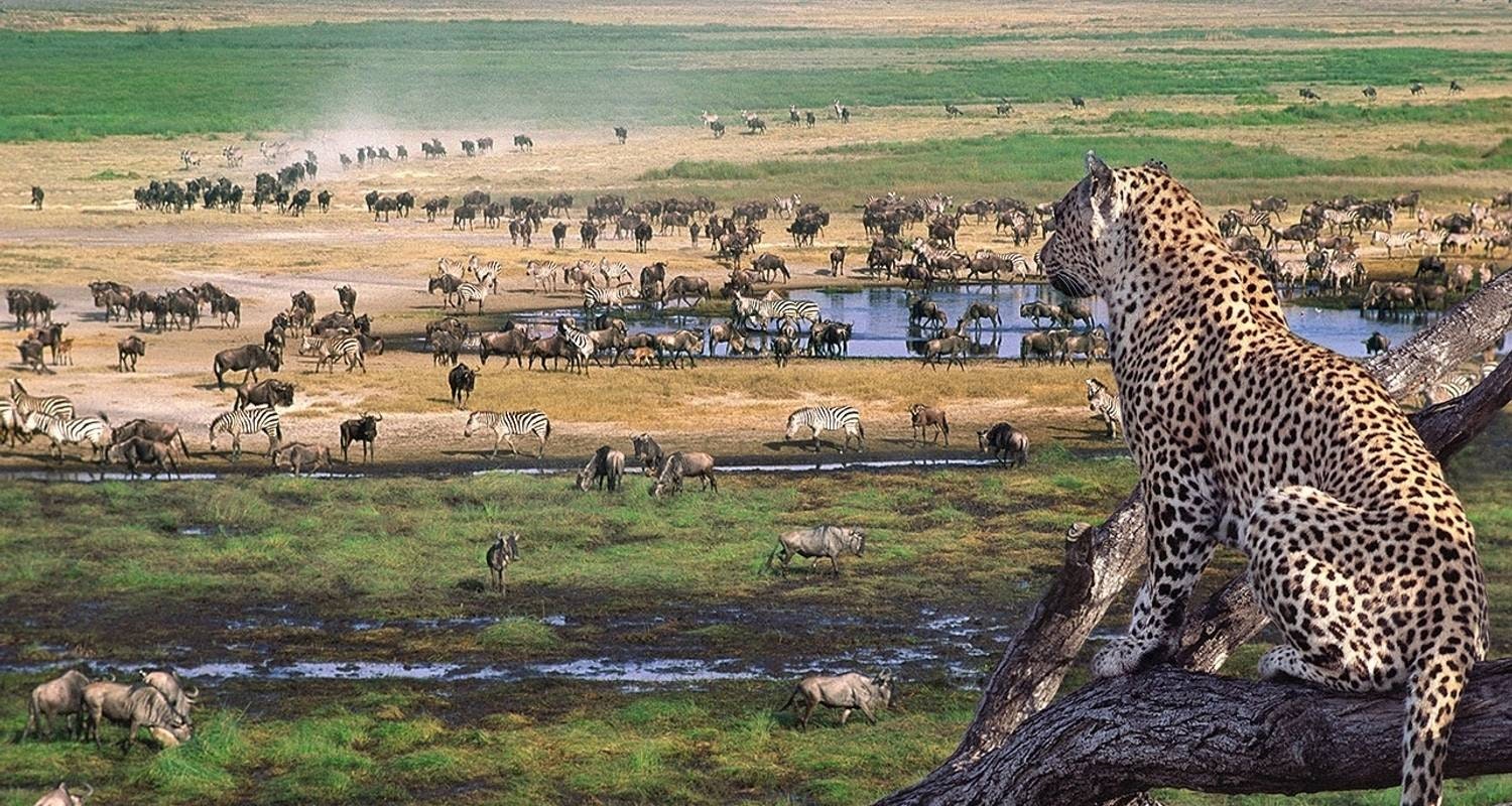 Africantrust Safari gallery image