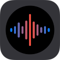 Voice Recorder Pro