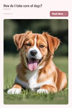 Pinterest Pin Stats gallery image